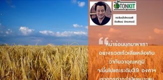 6 วิธีเอาตัวรอดในฤดูร้อน