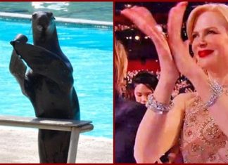 หายสงสัยกันเสียที ทำไม “นิโคล คิดแมน” ปรบมือแบบแปลกๆ จนชาวเน็ตแซว
