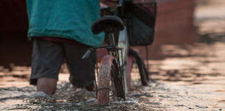 ฝนตกต้องระวัง! 10 สัตว์อันตรายที่มากับ “น้ำท่วม”