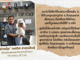 อาบน้ำแมวยากแค่ไหนก็เสร็จ “ช่างตุ้ย” ผู้เปลี่ยนแมวโหดให้อยู่ในโหมดแมวอ้อน