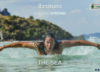 รู้จัก “SEE YOU STRONG” กลุ่มอนุรักษ์และปกป้องระบบนิเวศทางทะเล
