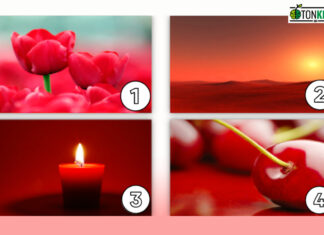 เปิดเผยความเป็นตัวคุณผ่านสีแดง!