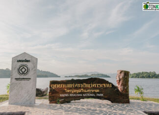 มาสเตอร์การ์ด เดินหน้าฟื้นฟูผืนป่าในประเทศไทย