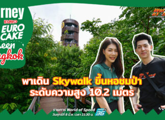 Journey with Euro เค้ก : Unseen Bangkok เดิน Skywalk ขึ้นหอชมป่า ความสูง 10.2 เมตร