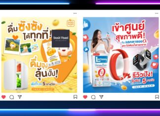 HOT DEAL เที่ยวซัมเมอร์กับซังซัง และแลคตาซอย ชวนอร่อยแบบไม่มีน้ำตาล