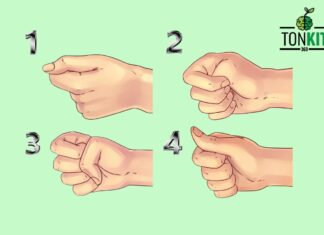 กำปั้นทั้ง 4 แบบ บ่งบอกถึงบุคลิกภาพของคุณ