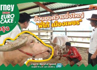 Journey with Euro Cake หนีกรุง : ย้อนชมความยิ่งใหญ่ “พี่โก้ เมืองเพชร”