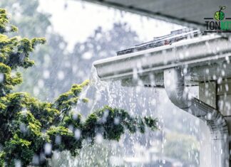 รู้จักกับปรากฏการณ์ Rain Bomb ฝนตกแค่โครมเดียว ทำน้ำท่วมทั้งเมือง