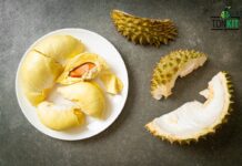 เปลี่ยนเปลือกทุเรียนให้มีมูลค่า ด้วยนวัตกรรมสิ่งทอใหม่จากจุฬาฯ