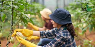 กรมการกงสุล หนุนคุณภาพชีวิตแรงงานไทยในต่างแดน ปิดจุดเสี่ยงด้วยแอปฯ Thai Consular