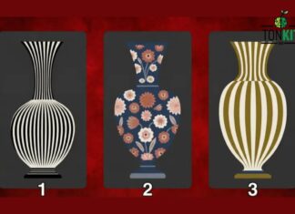 ชวนเล่น! เกมภาพทายนิสัย จาก “แจกัน” ที่คุณเลือก