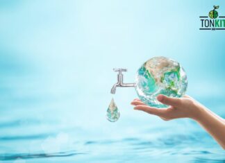 มองต์เฟลอ ปลุกพลังรักษ์โลกในวันน้ำโลก ชูแนวคิด Responsible Water Use