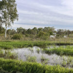 image-1779371060