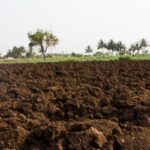 soil