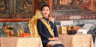 พระประวัติ สมเด็จพระเจ้าลูกเธอ เจ้าฟ้าพัชรกิติยาภา นเรนทิราเทพยวดี กรมหลวงราชสาริณี สิริพัชรมหาวัชรราชธิดา