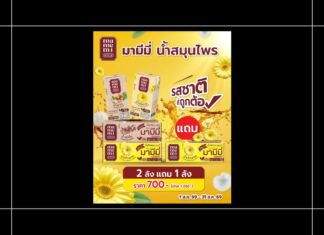 HOT DEAL จัดโปรแรง “มามีมี่” น้ำสมุนไพร ซื้อ 2 ลัง แถมฟรี 1 ลัง ตุนด่วนก่อนหมด!