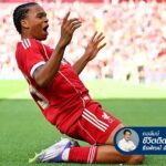 newliv_web1