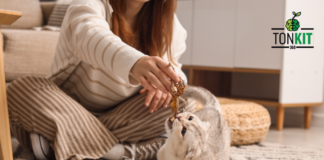 Pet Humanization สังคมเลี้ยงสัตว์เลี้ยงเป็นลูก กำลังไม่ธรรมดา!